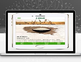 (自适应手机端)粮食米业网站pbootcms模板 农业产品网站源码下载